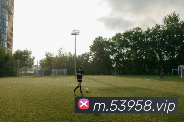 澳门线上娱乐APP 封面图